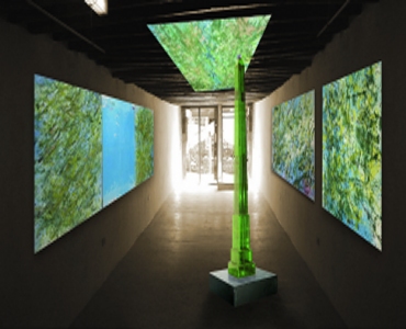 " Chlorophyll " - Biennale Venezia 2007